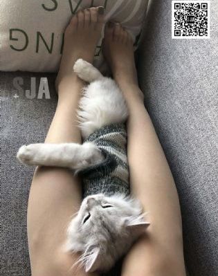 欧美八大美女歌手_剧情片免费观看电视剧
